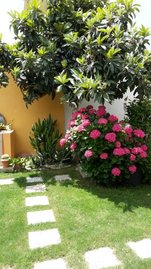 Appartamenti San Vito San Vito  Ngoại thất bức ảnh